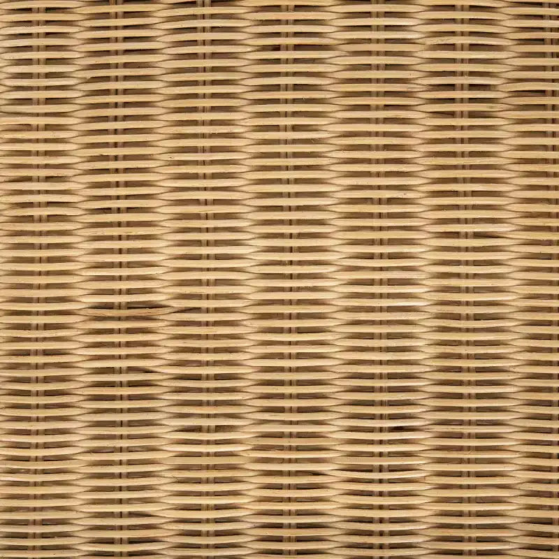 Siena Rattan Dining Chair - DCH6501 - Natural Unfinished/Black - Safavieh