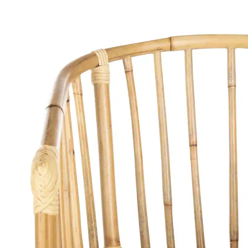Siena Rattan Dining Chair - DCH6501 - Natural Unfinished/Black - Safavieh
