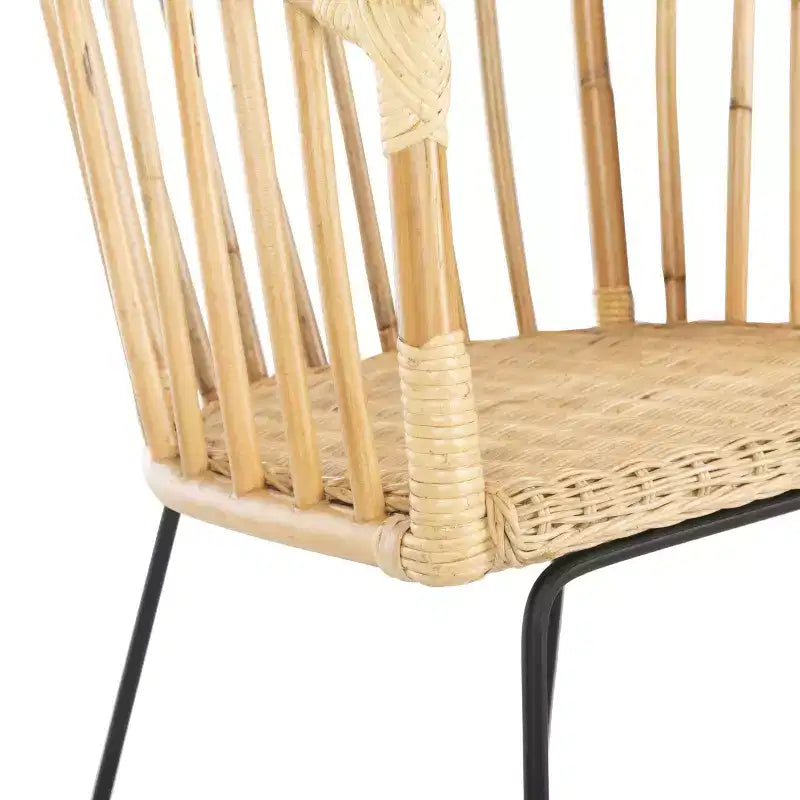 Siena Rattan Dining Chair - DCH6501 - Natural Unfinished/Black - Safavieh